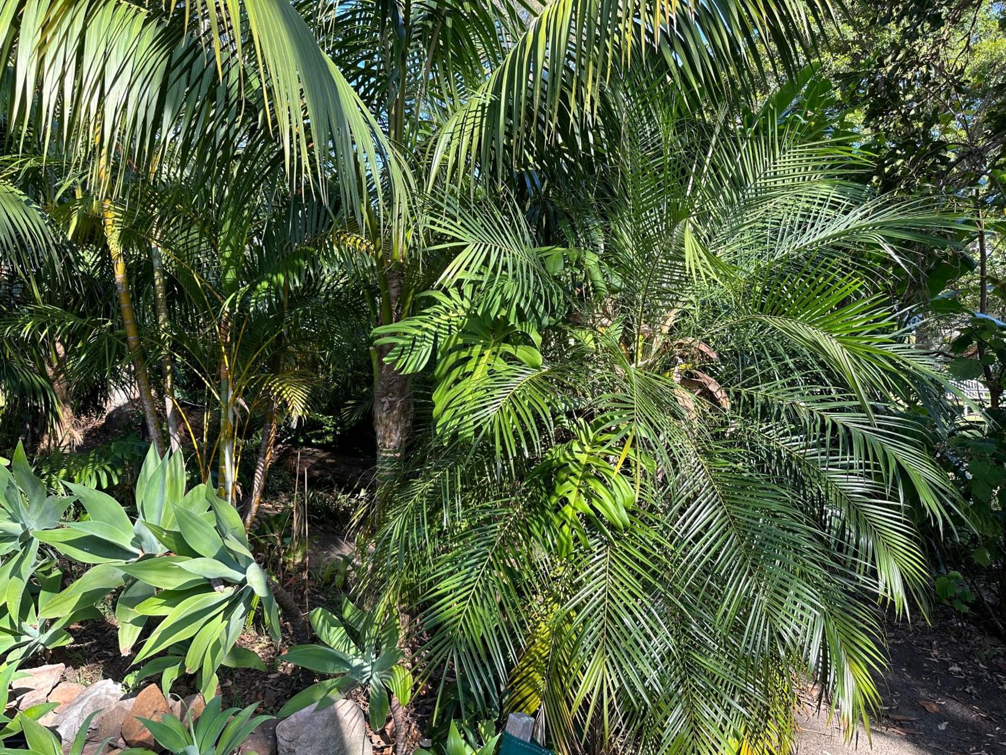 Palm Beach Bed & Breakfast Exterior photo