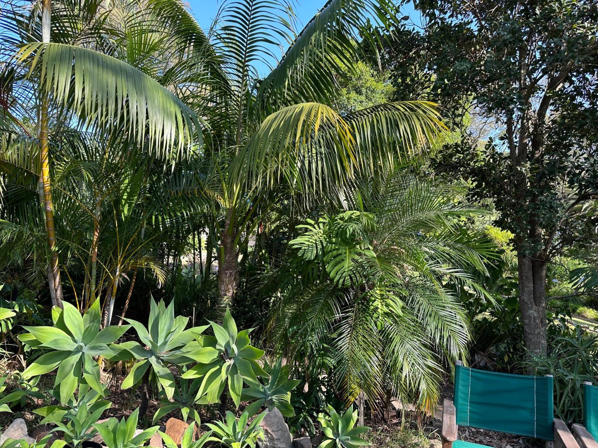 Palm Beach Bed & Breakfast Exterior photo